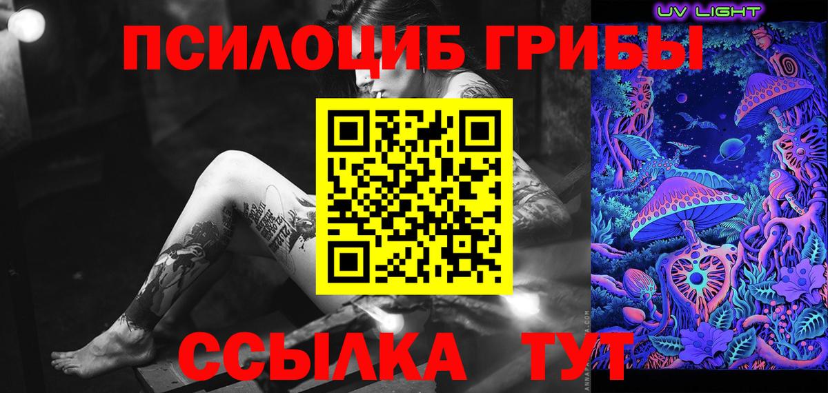Псилоцибиновые грибы GOLDEN TEACHER Острогожск